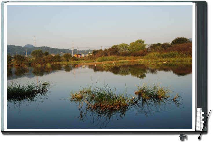 봉재지동출 (유료터정보 - 유료터조행기)