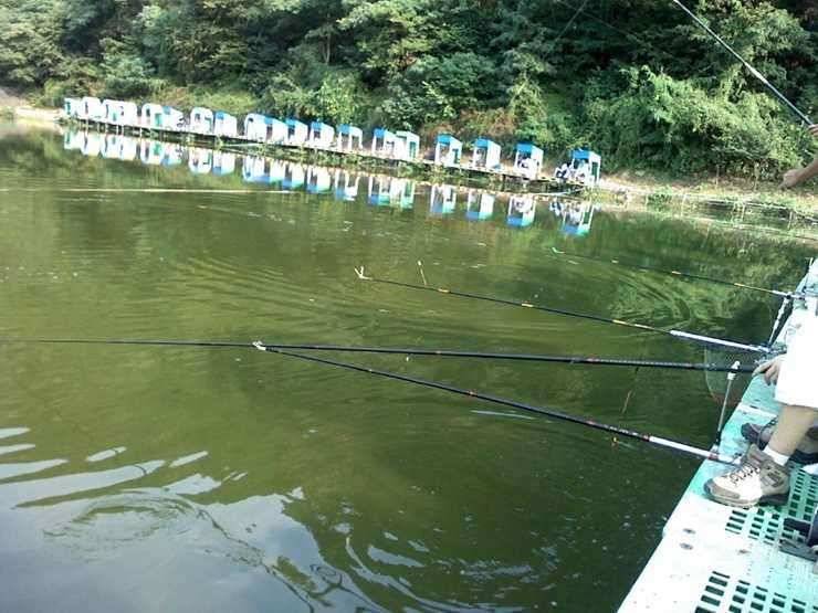 대구 무태낚시터에서 손맛 잘 봤습니다 (유료터정보 - 유료터조행기)