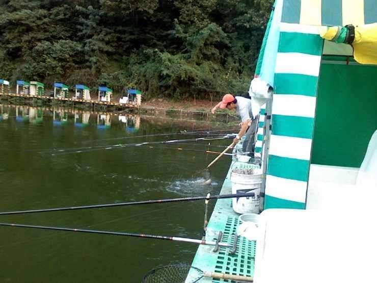 대구 무태낚시터에서 손맛 잘 봤습니다 (유료터정보 - 유료터조행기)