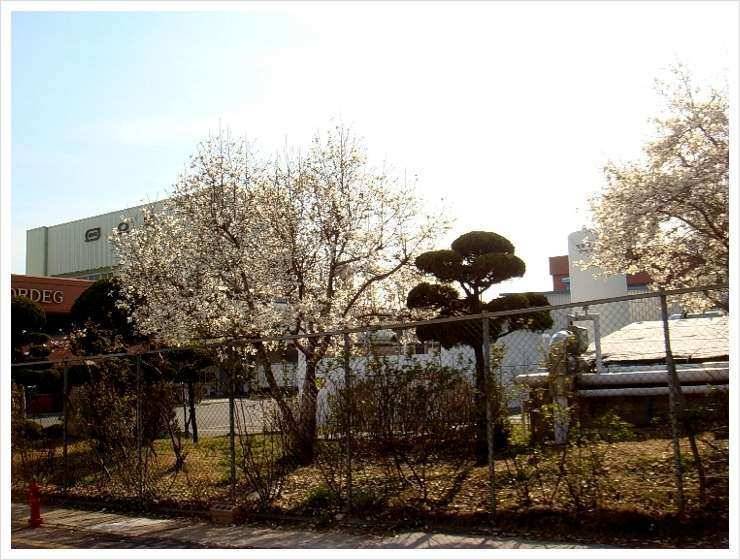 울산 덕진 소골낚시터 (유료터정보 - 유료터조행기)