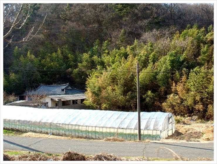 울산 덕진 소골낚시터 (유료터정보 - 유료터조행기)