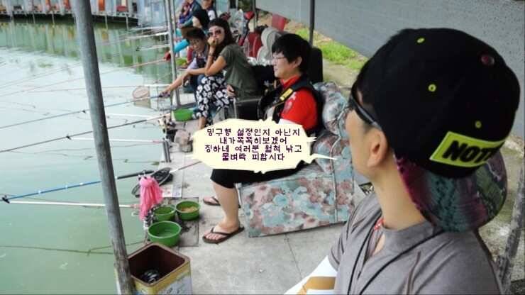 원주시 서곡낚시터 (유료터정보 - 유료터조행기)