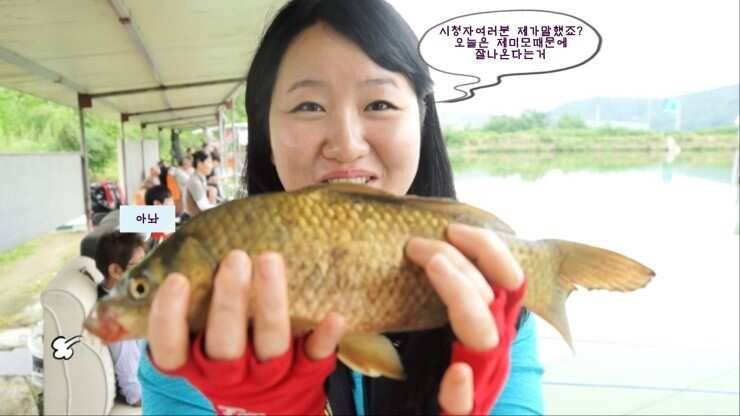 원주시 서곡낚시터 (유료터정보 - 유료터조행기)