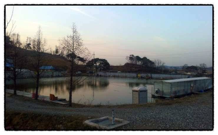 충남 아산 월선낚시터 4월 1일 실시간 조황보고 (유료터정보 - 유료터조행기)