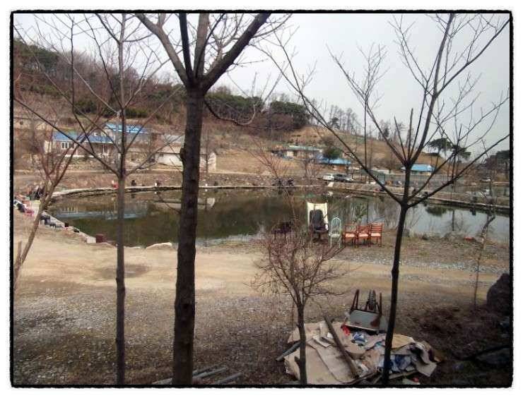 충남 아산 월선낚시터 3월 30일 실시간 조황정보 (유료터정보 - 유료터조행기)