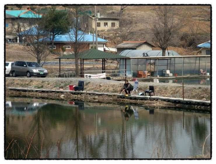 충남 아산 월선낚시터 3월 30일 실시간 조황정보 (유료터정보 - 유료터조행기)