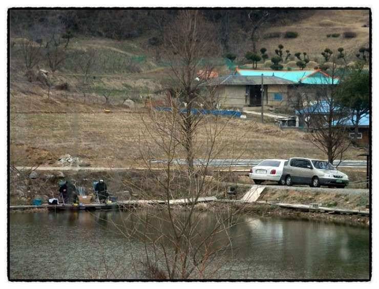 충남 아산 월선낚시터 3월 30일 실시간 조황정보 (유료터정보 - 유료터조행기)