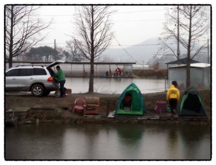 충남 아산 월선낚시터 3월 30일 실시간 조황정보 (유료터정보 - 유료터조행기)