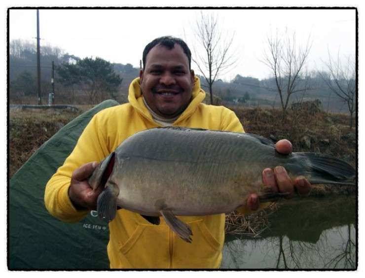 충남 아산 월선낚시터 3월 30일 실시간 조황정보 (유료터정보 - 유료터조행기)