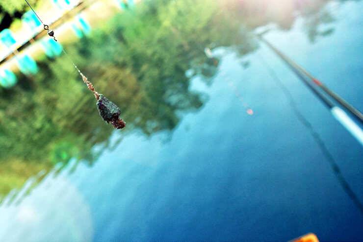 paypic_a2699_014411_21032.jpg