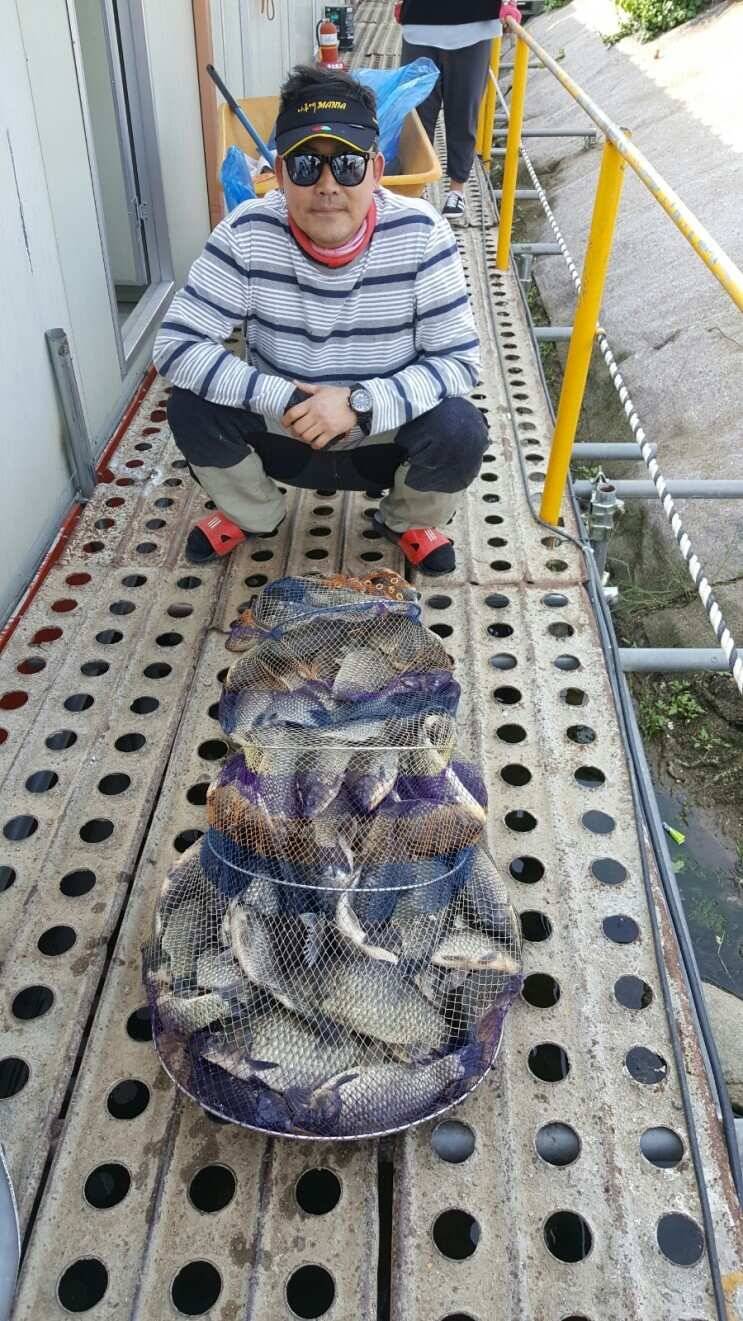 도대체 몇마리야 대석낚시터 (유료터정보 - 유료터조행기)