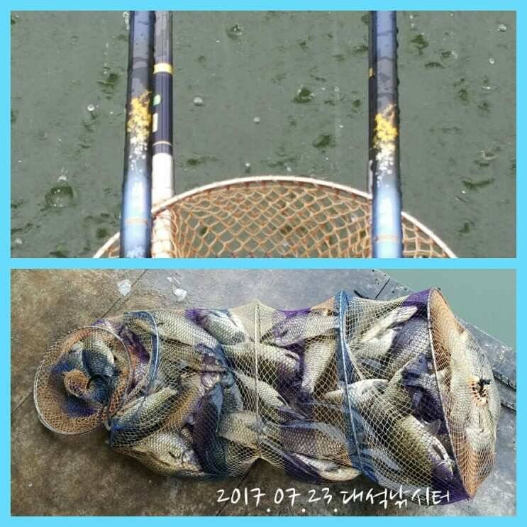 2박3일의 강행군 ㅡ 대석낚시터 (유료터정보 - 유료터조행기)
