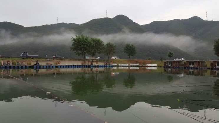 대석낚시터 ㅡ 금요일 출조 (유료터정보 - 유료터조행기)