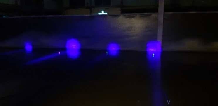 paypic_20796_055614_58065.jpg