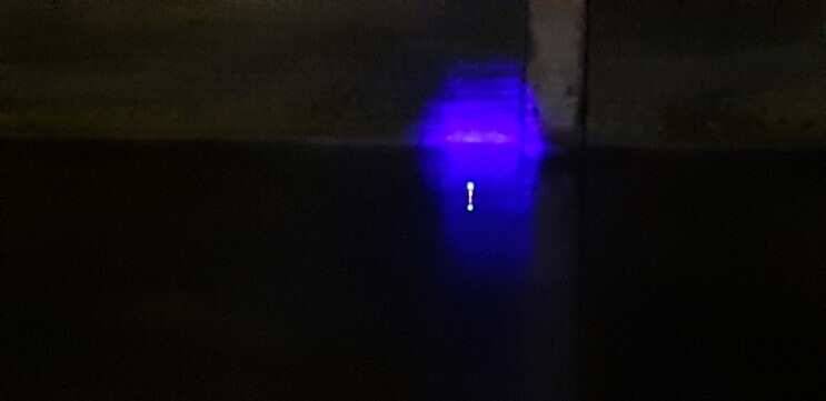paypic_37c83_060203_78830.jpg