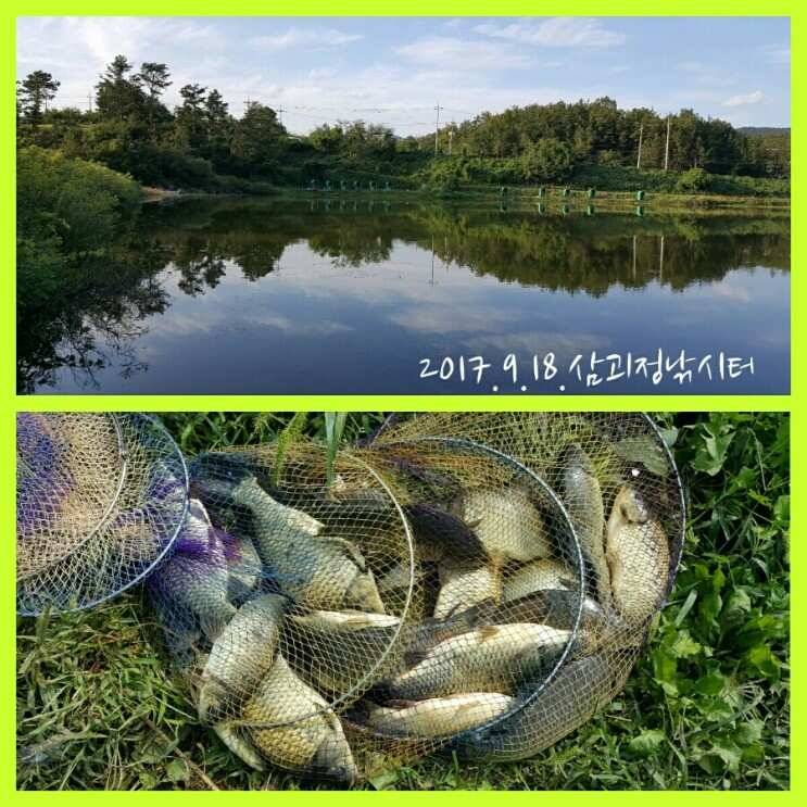 경주 삼괴정낚시터 ㅡ 짜릿한 손맛 (유료터정보 - 유료터조행기)