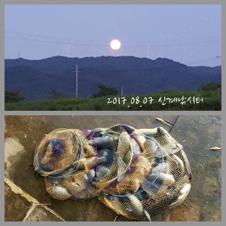 2017년 하반기 출조 스케치 (유료터정보 - 유료터조행기)