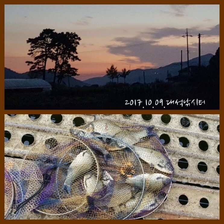 2017년 하반기 출조 스케치 (유료터정보 - 유료터조행기)
