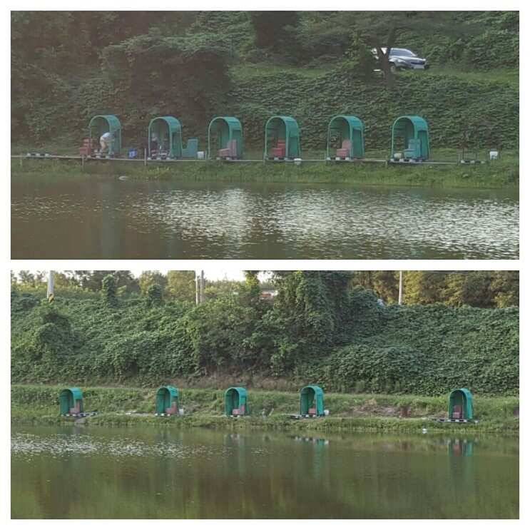 경주 삼괴정낚시터 ㅡ 짜릿한 손맛 (유료터정보 - 유료터조행기)