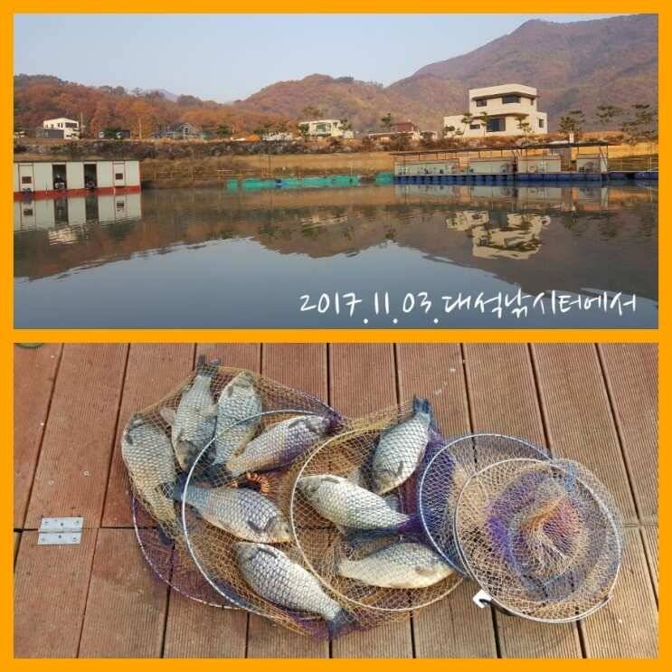 2017년 하반기 출조 스케치 (유료터정보 - 유료터조행기)
