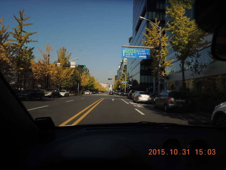 반도낚시터 다녀왔습니다 (유료터정보 - 유료터조행기)
