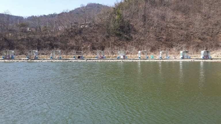 각북낚시터 노지에서 잉어와의 올해 첫만남 (유료터정보 - 유료터조행기)