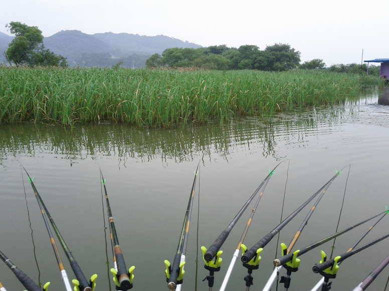 충남 아산 안골지 가족여행 (유료터정보 - 유료터조행기)