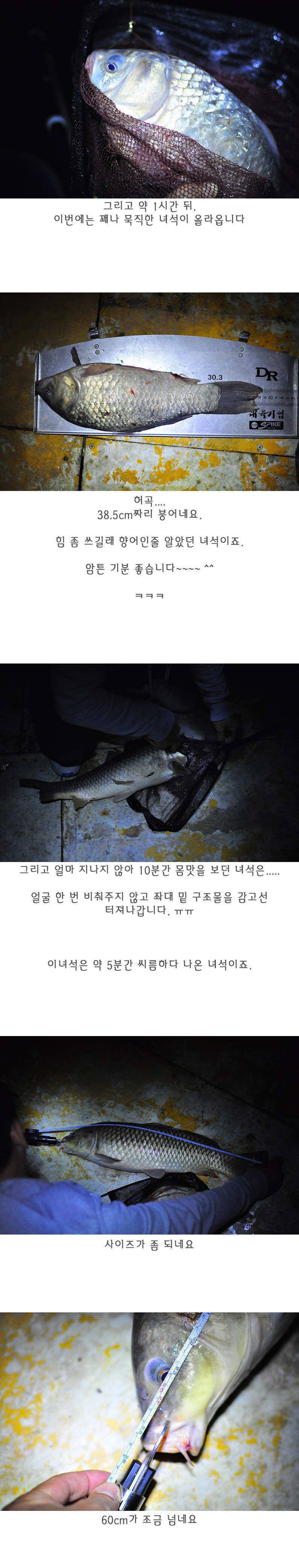 화장실좌대이 기가막힌 제수리지낚시터 (유료터정보 - 유료터조행기)