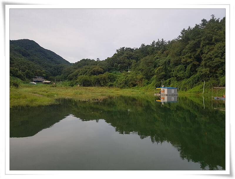 충주호 문골낚시터에서2차전 (유료터정보 - 유료터조행기)