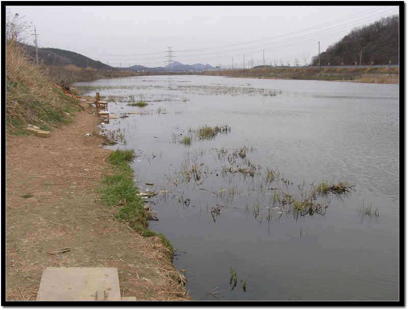 화성권 저수지수로를 돌아 보았습니다 (유료터정보 - 유료터조행기)