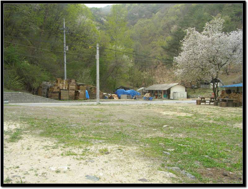 손맛100점 눈맛200점 (유료터정보 - 유료터조행기)
