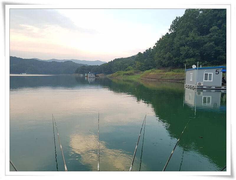 충주호 문골낚시터 다녀 왔습니다 (유료터정보 - 유료터조행기)