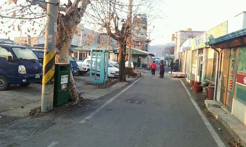 눈 내리는날개나리에서 (유료터정보 - 유료터조행기)