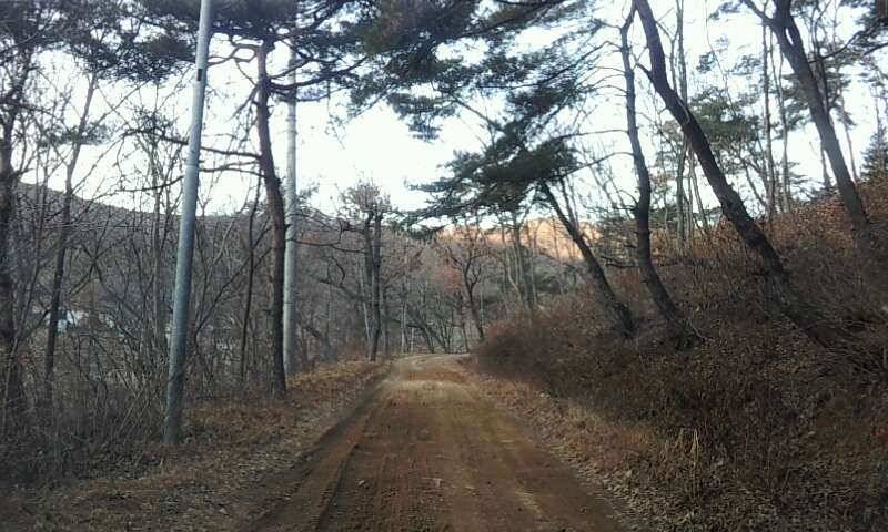 놀기 좋은 구봉지에서 ♬ (유료터정보 - 유료터조행기)