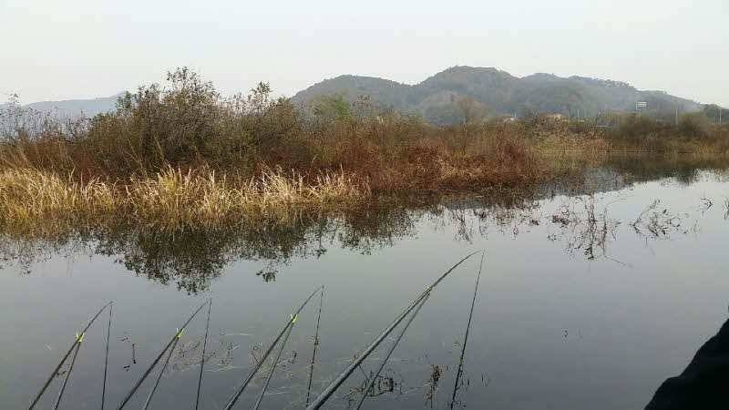 송전지 오산집10월29일 조황정보 (유료터정보 - 유료터조행기)