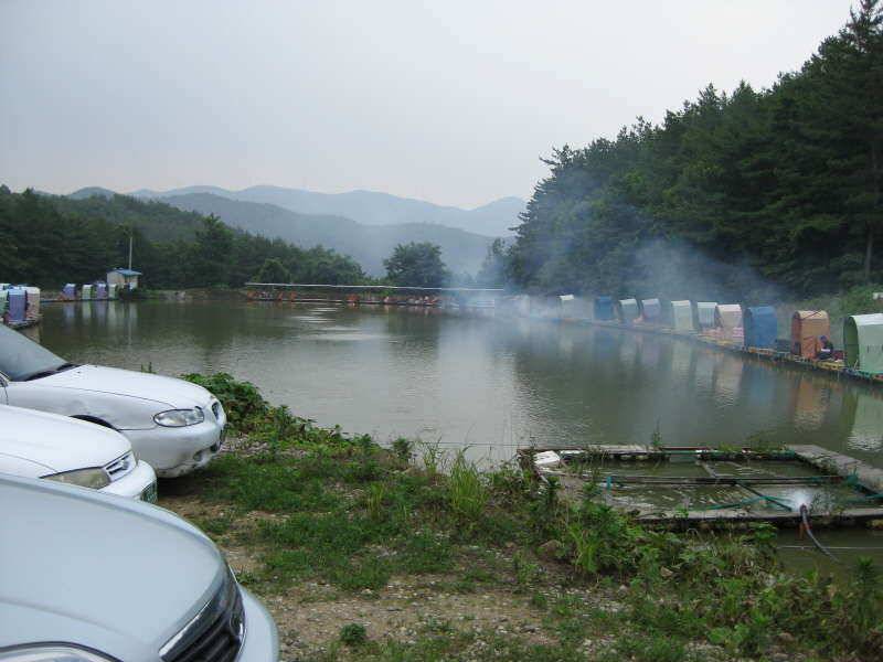 경주낚시터다녀왔습니다 (유료터정보 - 유료터조행기)