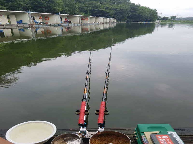 지곡 낚시터 조행기 입니다 (유료터정보 - 유료터조행기)