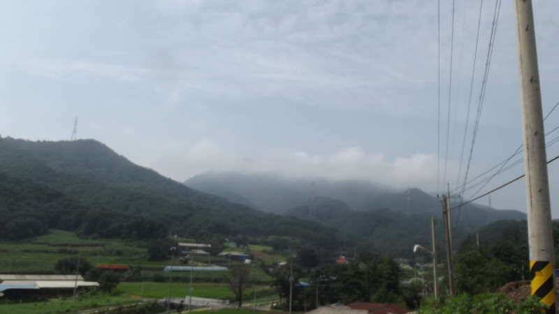 양주 원당지 대물 (유료터정보 - 유료터조행기)