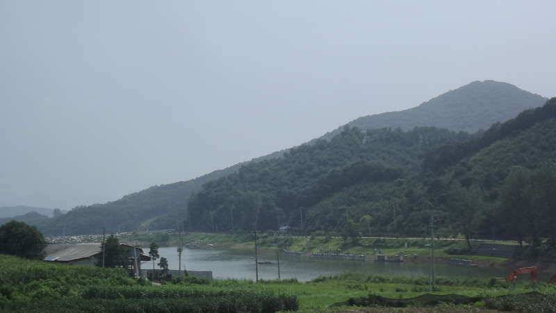양주 원당지 대물 (유료터정보 - 유료터조행기)