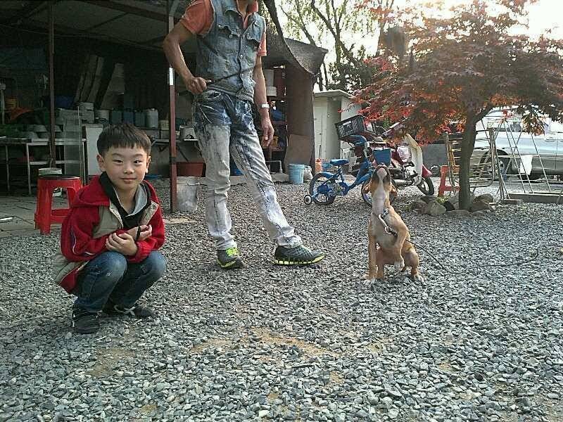 무태낚시터를 다녀와서 (유료터정보 - 유료터조행기)