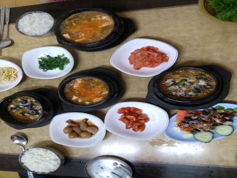 태안 수룡지 (유료터정보 - 유료터조행기)