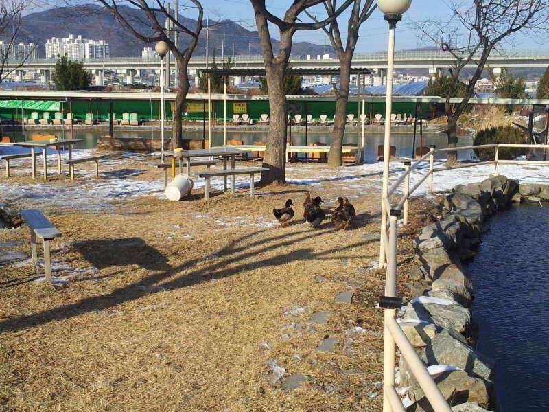 봇또랑 가든낚시터 조행기 입니다 (유료터정보 - 유료터조행기)