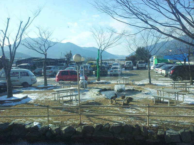 봇또랑 가든낚시터 조행기 입니다 (유료터정보 - 유료터조행기)