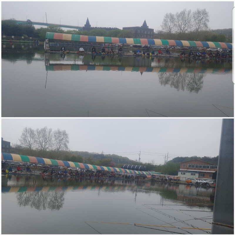 고잔낚시터 손맛터 조행기 입니다 (유료터정보 - 유료터조행기)