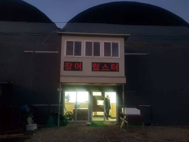 김포낚시터 랍스터 도전기 (유료터정보 - 유료터조행기)