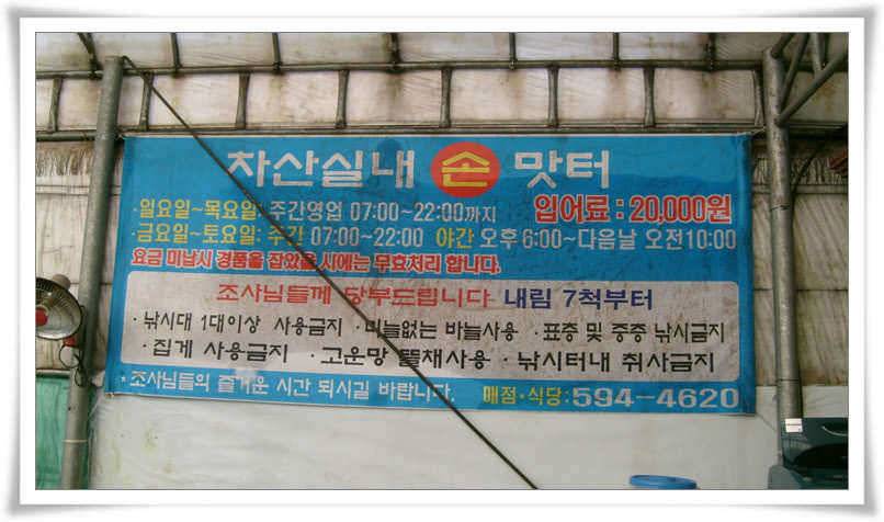차산리 하우스 손맛낚시터 다녀왔습니다 (유료터정보 - 유료터조행기)