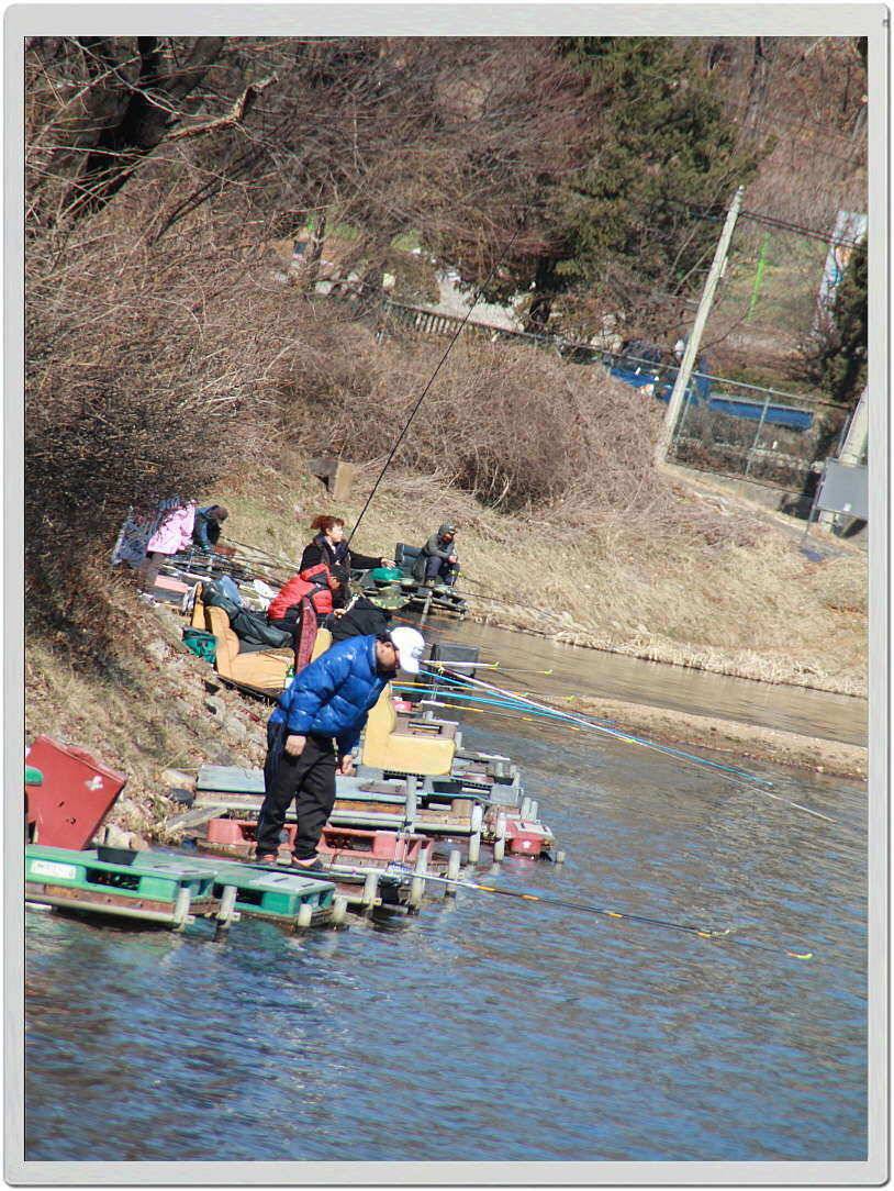 칠리 저수지 개장 소식 (유료터정보 - 유료터조행기)