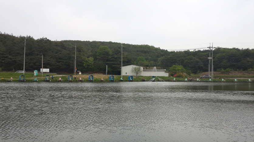 지인들과 함께 경주동산낚시터 (유료터정보 - 유료터조행기)