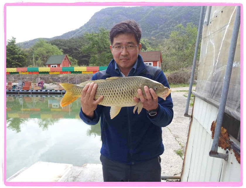 회사동료들과 매전서 밤낚시 (유료터정보 - 유료터조행기)