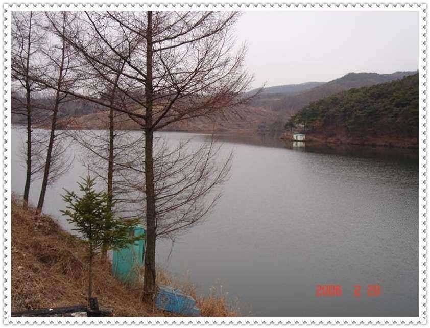 무모한 도전12만평준계곡관리지에서 대물채비공략기 (유료터정보 - 유료터조행기)